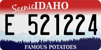 ID license plate E521224