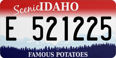 ID license plate E521225