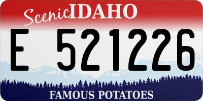 ID license plate E521226