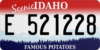 ID license plate E521228
