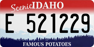 ID license plate E521229