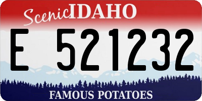 ID license plate E521232