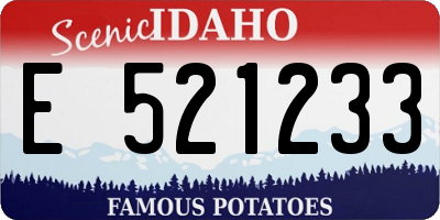 ID license plate E521233