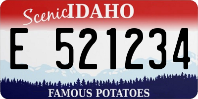 ID license plate E521234
