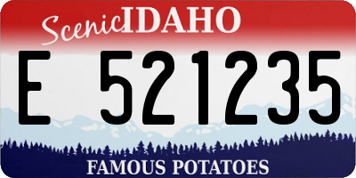ID license plate E521235