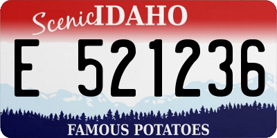 ID license plate E521236