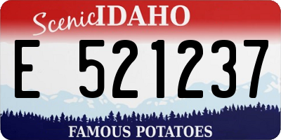ID license plate E521237