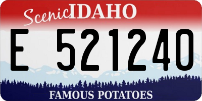 ID license plate E521240