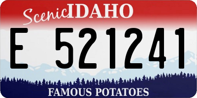 ID license plate E521241