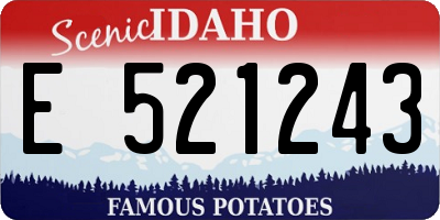 ID license plate E521243