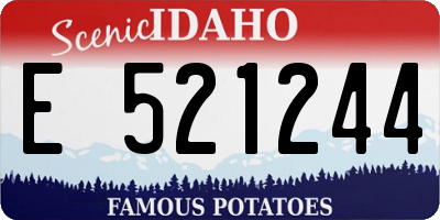 ID license plate E521244