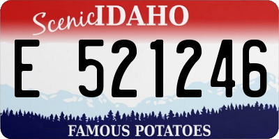 ID license plate E521246