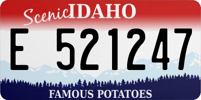 ID license plate E521247