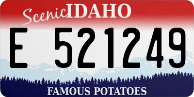 ID license plate E521249