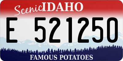 ID license plate E521250