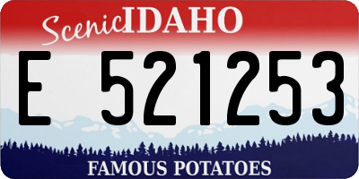 ID license plate E521253