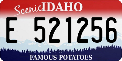 ID license plate E521256