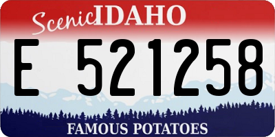 ID license plate E521258