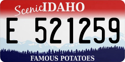 ID license plate E521259