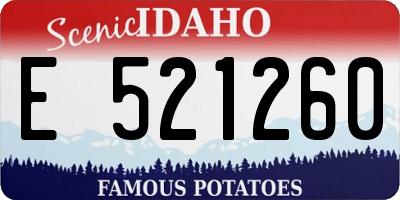 ID license plate E521260