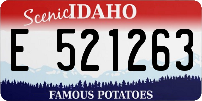 ID license plate E521263