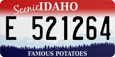 ID license plate E521264