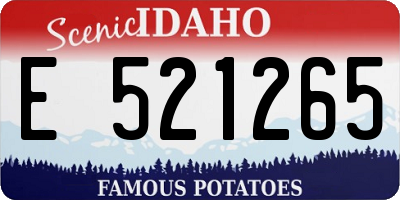 ID license plate E521265