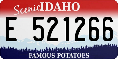 ID license plate E521266
