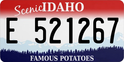 ID license plate E521267