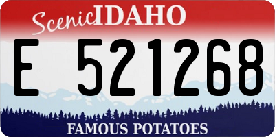 ID license plate E521268