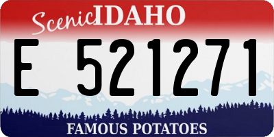ID license plate E521271
