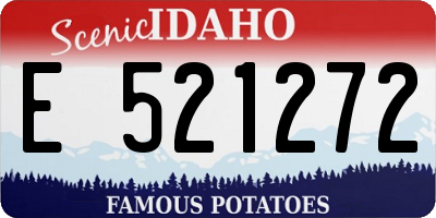 ID license plate E521272