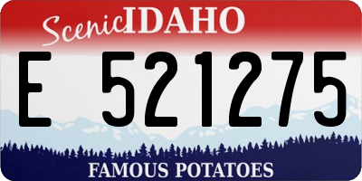 ID license plate E521275