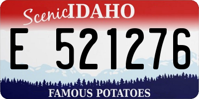 ID license plate E521276