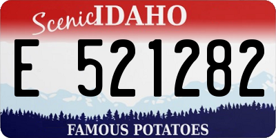 ID license plate E521282