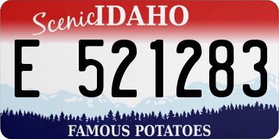 ID license plate E521283