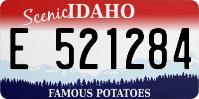ID license plate E521284