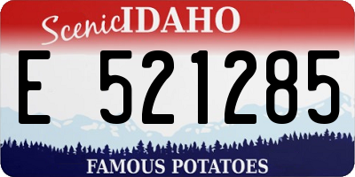 ID license plate E521285