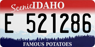 ID license plate E521286