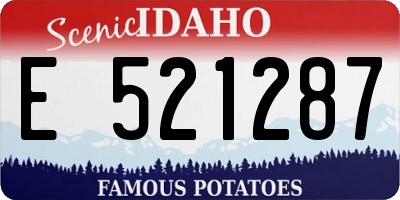 ID license plate E521287