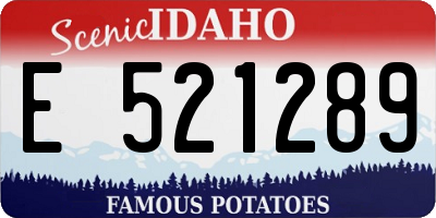 ID license plate E521289