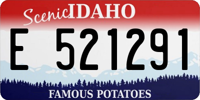 ID license plate E521291