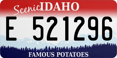 ID license plate E521296