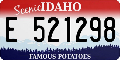 ID license plate E521298