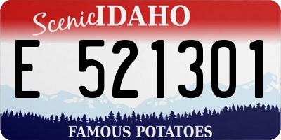ID license plate E521301
