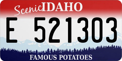 ID license plate E521303
