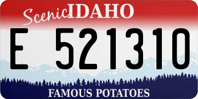 ID license plate E521310