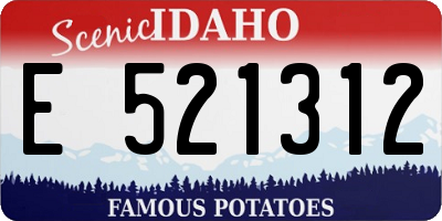 ID license plate E521312