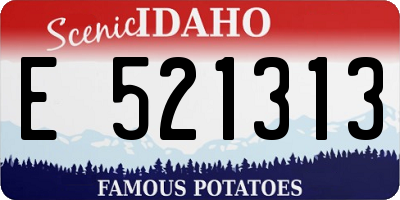 ID license plate E521313