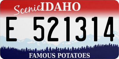 ID license plate E521314